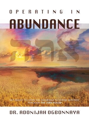 cover image of Operating in Abundance